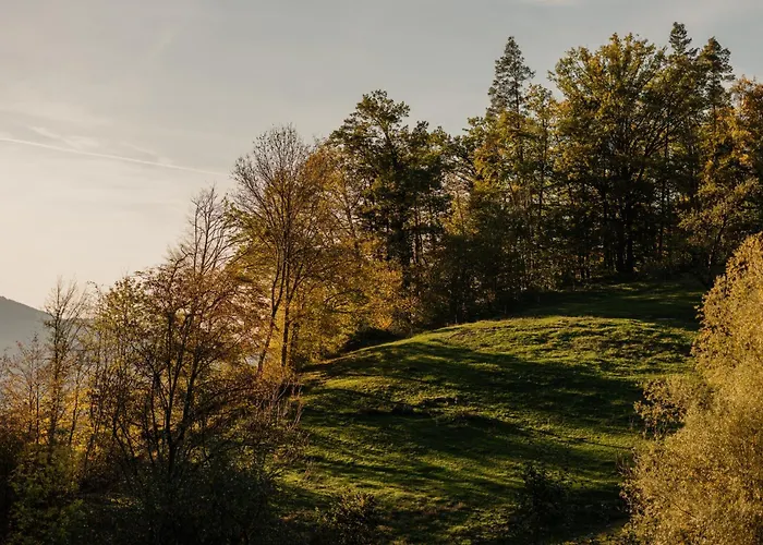 Hotel Bildungshaus Arbogast *